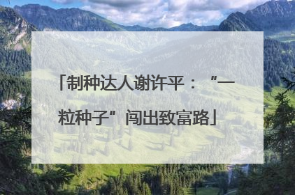 制种达人谢许平：“一粒种子”闯出致富路