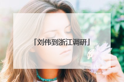 刘伟到浙江调研