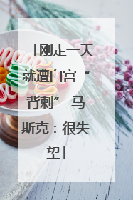 刚走一天就遭白宫“背刺” 马斯克：很失望
