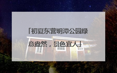 初夏东营明潭公园绿意盎然，景色宜人