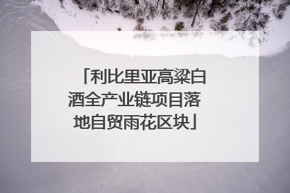 利比里亚高粱白酒全产业链项目落地自贸雨花区块