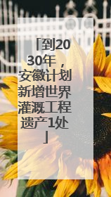 到2030年，安徽计划新增世界灌溉工程遗产1处