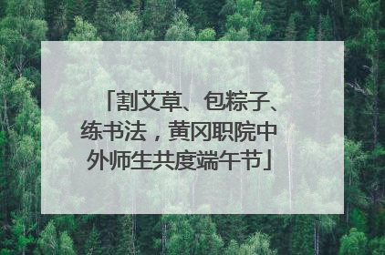 割艾草、包粽子、练书法，黄冈职院中外师生共度端午节