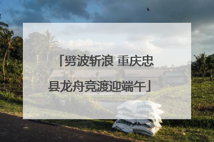 劈波斩浪 重庆忠县龙舟竞渡迎端午