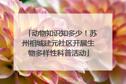 动物知识知多少！苏州相城建元社区开展生物多样性科普活动