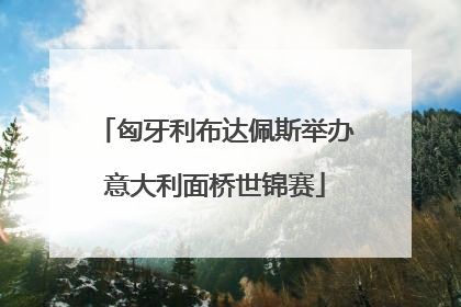 匈牙利布达佩斯举办意大利面桥世锦赛