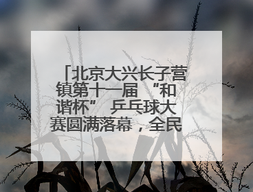 北京大兴长子营镇第十一届 “和谐杯” 乒乓球大赛圆满落幕，全民运动热潮涌动