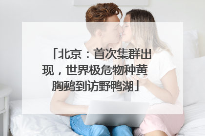 北京：首次集群出现，世界极危物种黄胸鹀到访野鸭湖