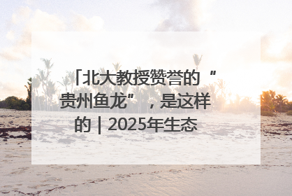 北大教授赞誉的“贵州鱼龙”，是这样的｜2025年生态文明贵阳国际论坛