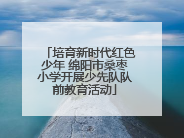培育新时代红色少年 绵阳市桑枣小学开展少先队队前教育活动