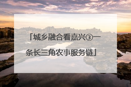 城乡融合看嘉兴③一条长三角农事服务链