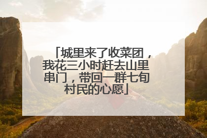 城里来了收菜团，我花三小时赶去山里串门，带回一群七旬村民的心愿