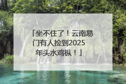 坐不住了！云南易门有人捡到2025年头水鸡枞！