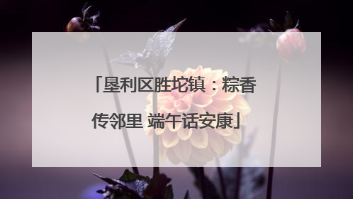 垦利区胜坨镇：粽香传邻里 端午话安康