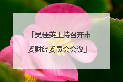 吴桂英主持召开市委财经委员会会议