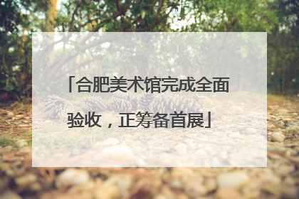 合肥美术馆完成全面验收，正筹备首展