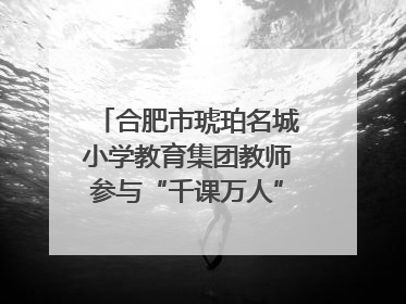 合肥市琥珀名城小学教育集团教师参与“千课万人”数学论坛活动