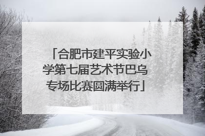 合肥市建平实验小学第七届艺术节巴乌专场比赛圆满举行