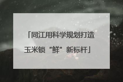 同江用科学规划打造玉米锁“鲜”新标杆