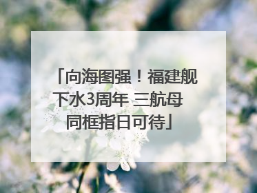 向海图强！福建舰下水3周年 三航母同框指日可待