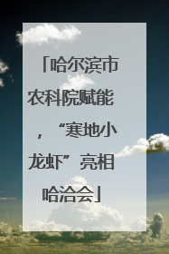 哈尔滨市农科院赋能，“寒地小龙虾”亮相哈洽会