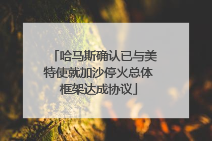 哈马斯确认已与美特使就加沙停火总体框架达成协议