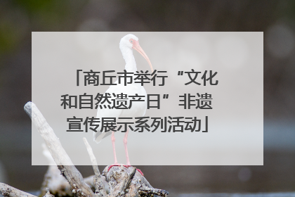 商丘市举行“文化和自然遗产日”非遗宣传展示系列活动