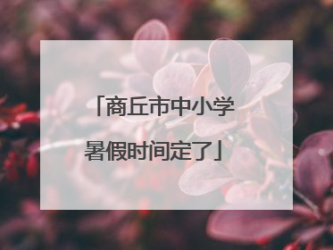 商丘市中小学暑假时间定了