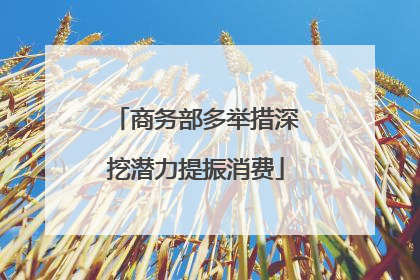 商务部多举措深挖潜力提振消费