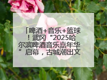 啤酒+音乐+篮球！武冈“2025哈尔滨啤酒音乐嘉年华”启幕，古城潮出文旅新活力