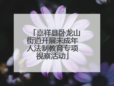 嘉祥县卧龙山街道开展未成年人法制教育专项视察活动