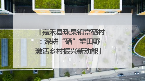 嘉禾县珠泉镇富硒村：深耕“硒”望田野 激活乡村振兴新动能