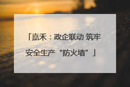 嘉禾：政企联动 筑牢安全生产“防火墙”