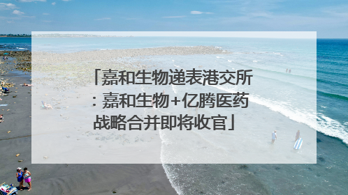 嘉和生物递表港交所：嘉和生物+亿腾医药战略合并即将收官