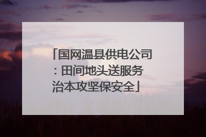国网温县供电公司：田间地头送服务 治本攻坚保安全
