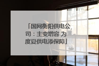 国网衡阳供电公司：主变增容 为度夏供电添保障