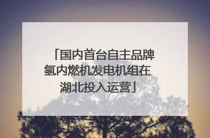 国内首台自主品牌氢内燃机发电机组在湖北投入运营