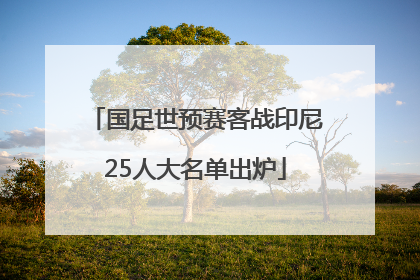 国足世预赛客战印尼25人大名单出炉