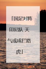 国足对阵印尼队 天气或成拦路虎