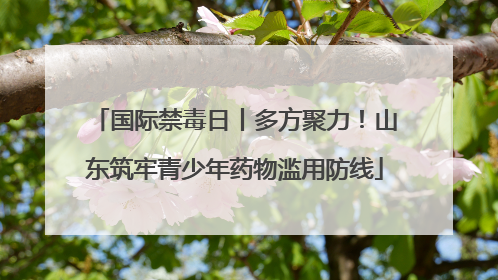 国际禁毒日丨多方聚力！山东筑牢青少年药物滥用防线