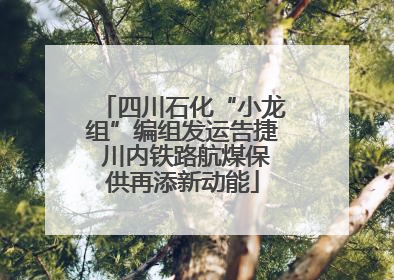 四川石化“小龙组”编组发运告捷 川内铁路航煤保供再添新动能