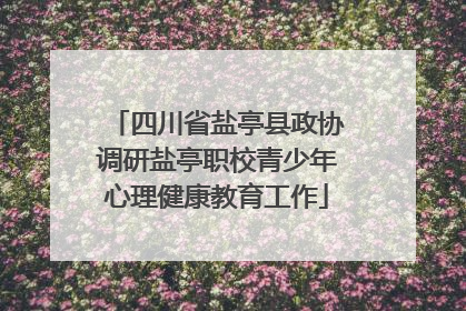 四川省盐亭县政协调研盐亭职校青少年心理健康教育工作