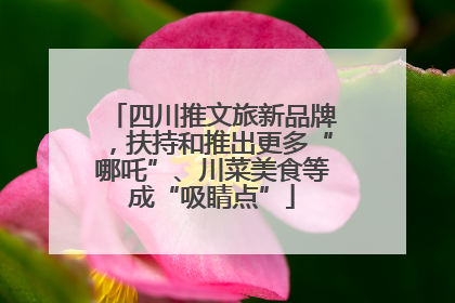 四川推文旅新品牌，扶持和推出更多“哪吒”、川菜美食等成“吸睛点”