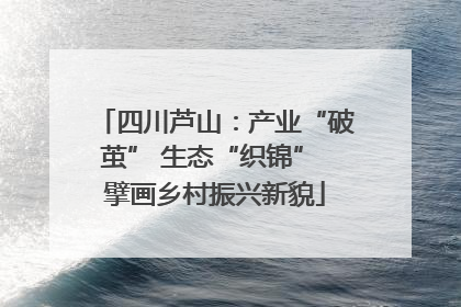 四川芦山：产业“破茧” 生态“织锦” 擘画乡村振兴新貌