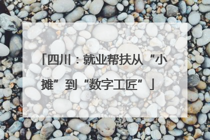 四川：就业帮扶从“小摊”到“数字工匠”