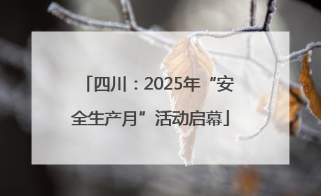 四川：2025年“安全生产月”活动启幕
