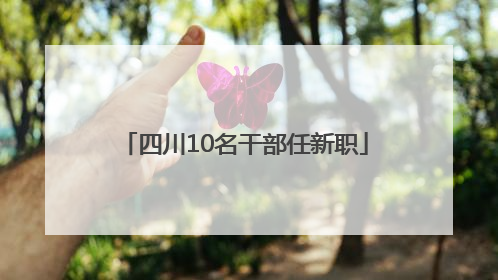四川10名干部任新职