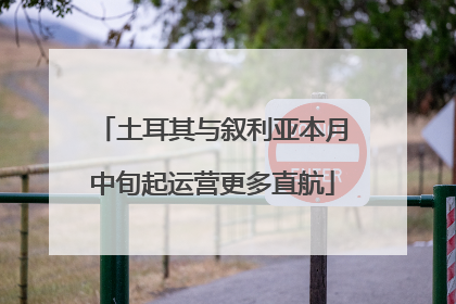 土耳其与叙利亚本月中旬起运营更多直航