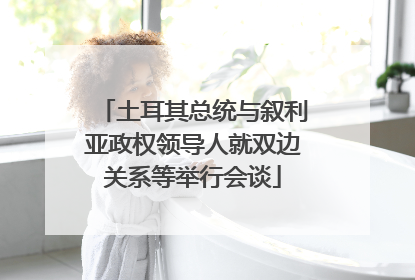 土耳其总统与叙利亚政权领导人就双边关系等举行会谈