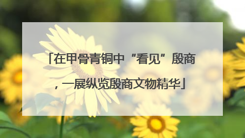 在甲骨青铜中“看见”殷商，一展纵览殷商文物精华